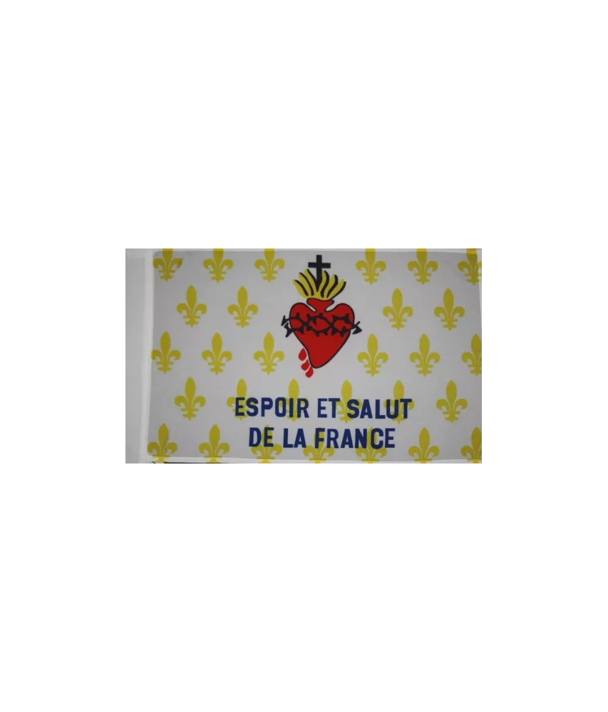 Drapeau Fleurf de lys - Espoir et salut de la France