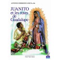 Juanito et les roses de Guadalupe