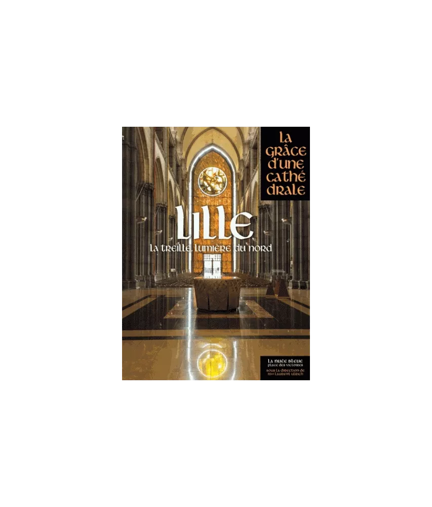 Lille, La Treille lumière du Nord