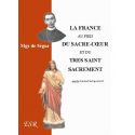 La France au pied du Sacré-Coeur et du Très Saint Sacrement